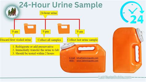 24 Hour Urine Test