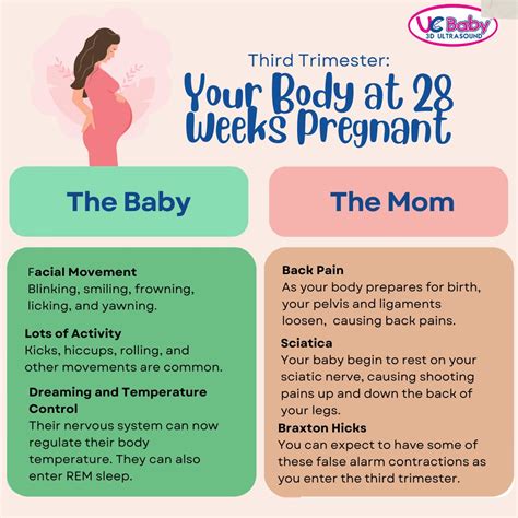 28 Weeks Pregnant Sonogram