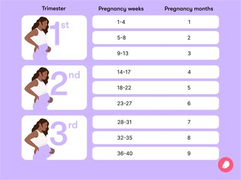 36 Weeks Pregnant In Months