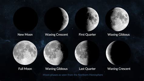 6 Moon Phases