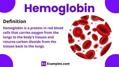 Abbreviation For Hemoglobin