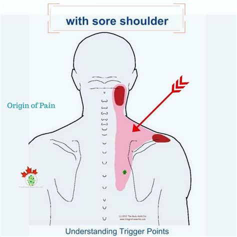 Aching Shoulder Blade And Neck