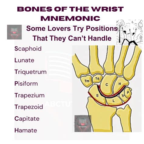 Acronym For Bones In The Wrist