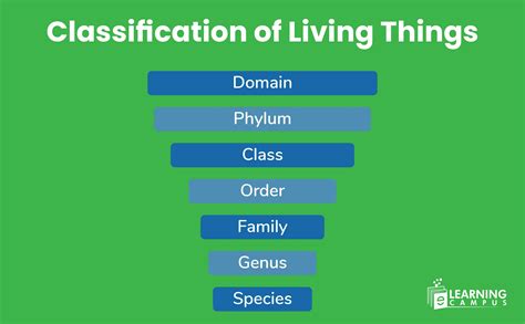 Acronym For Classification Of Living Things