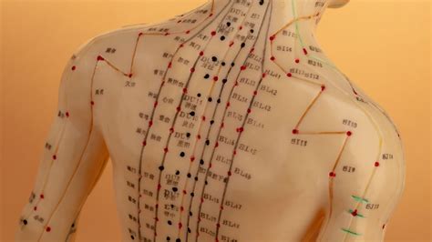 Acupuncture In Spanish