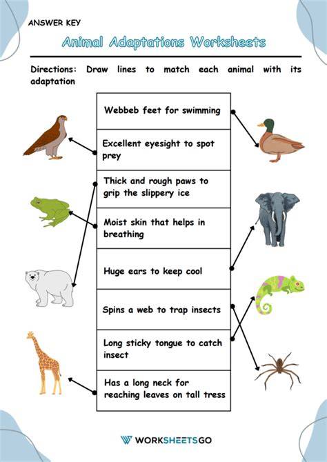 Adaptation Of Questions
