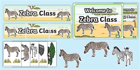 Adaptation Of Zebra Class 4