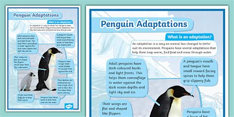 Adaptations Of Penguins