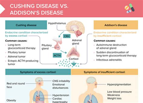 Addison's Disease Vs Cushing