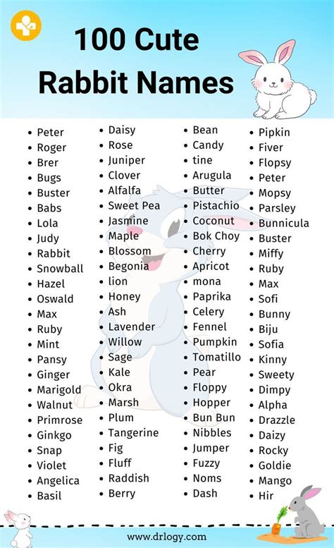 Aesthetic Names For A Bunny