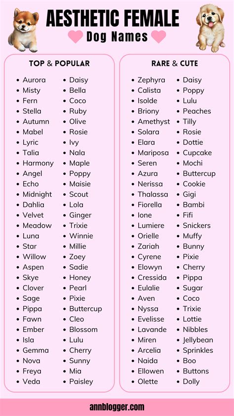 Aesthetic Names For Dogs Female