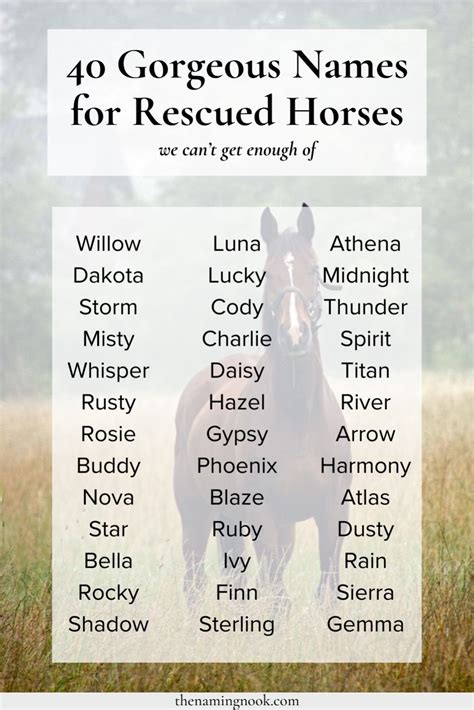 Aesthetic Names For Horses