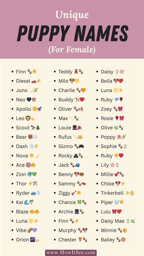 Aesthetic Names For Puppies