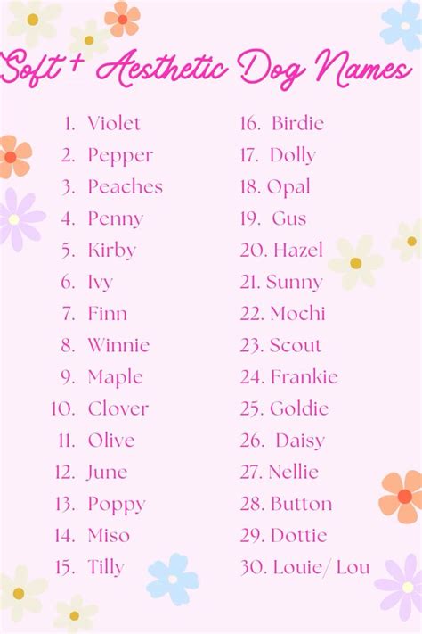 Aesthetic Pet Names