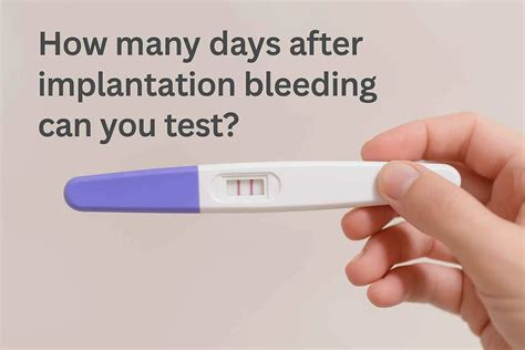 After Implantation Bleeding Pregnancy Test