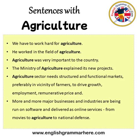 Agriculture In A Sentence