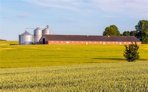 Agriculture In Denmark