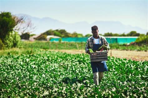 Agriculture In Dubai