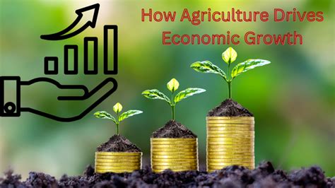 Agriculture In Economic Development