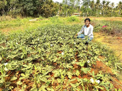 Agriculture In Goa