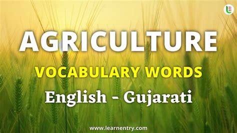 Agriculture In Gujarati