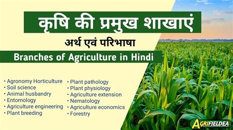 Agriculture In Hindi Meaning