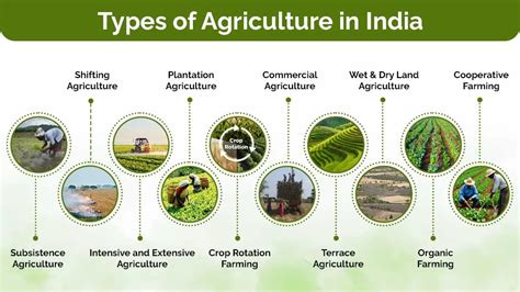 Agriculture In India Pdf