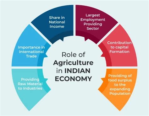 Agriculture In Indian Economy