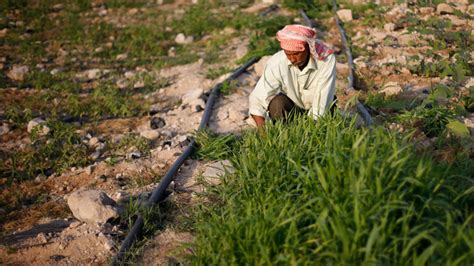 Agriculture In Jordan