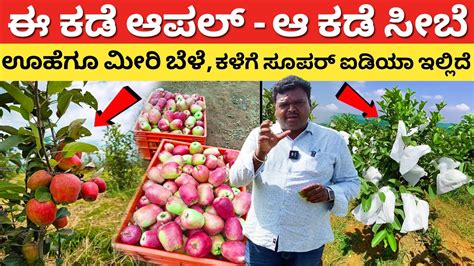 Agriculture In Kannada