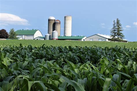Agriculture In Ontario