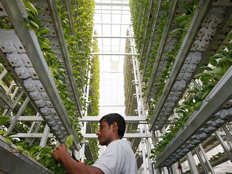 Agriculture In Singapore