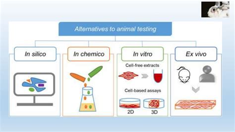 Alternatives To Animal Experimentation