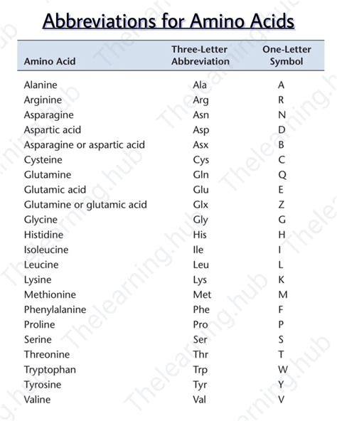 Amino Acid Abbreviations