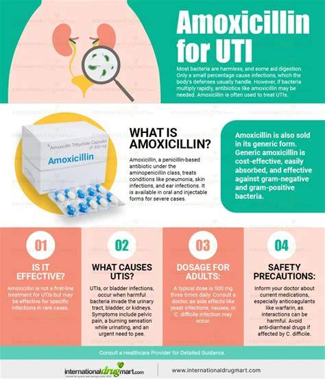 Amoxicillin Dosage For Uti