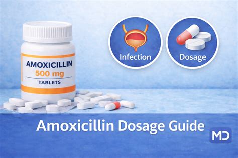 Amoxicillin For Bladder Infection