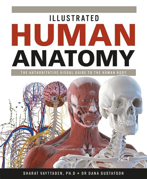 Anatomy Illustrated