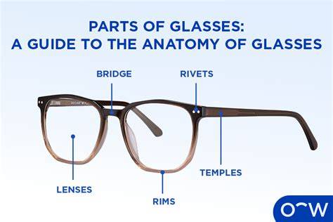 Anatomy Of Glasses