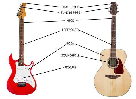 Anatomy Of Guitar