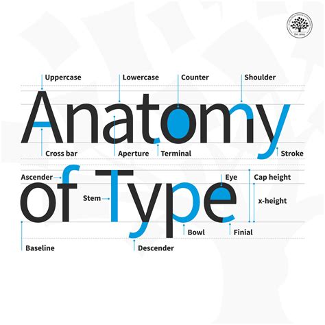 Anatomy Of Letter P