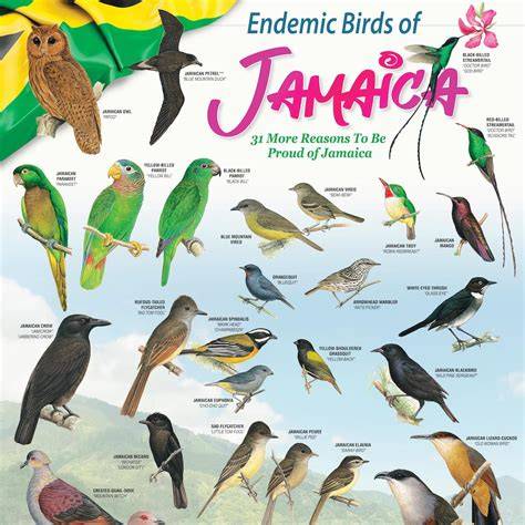 Animals Endemic To Jamaica