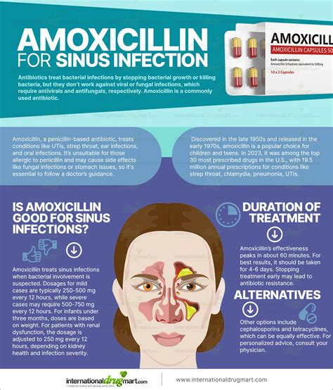 Antibiotics For Sinus Infection Amoxicillin