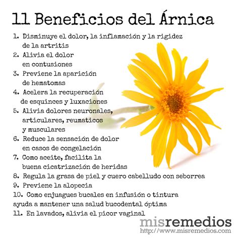Arnica Para K Sirve