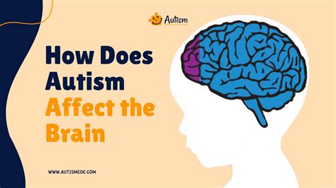 Autism How Does It Affect The Brain
