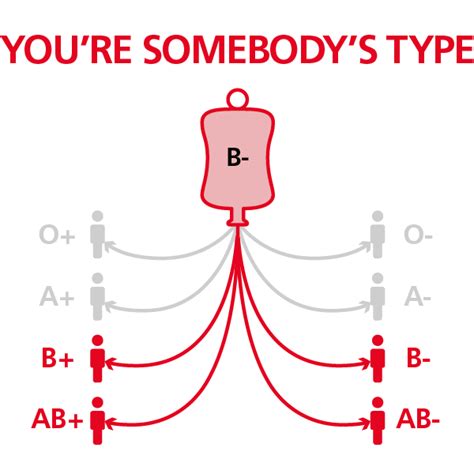 B Negative Blood Type