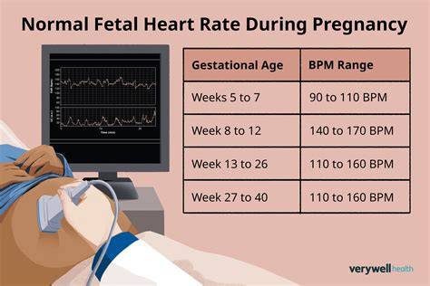 Baby Heartbeat