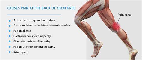 Back Of Knee Tendon Hurts