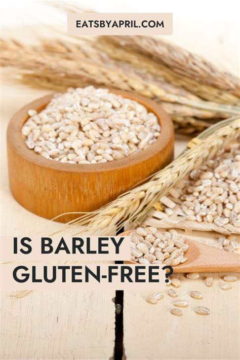 Barley Does It Contain Gluten