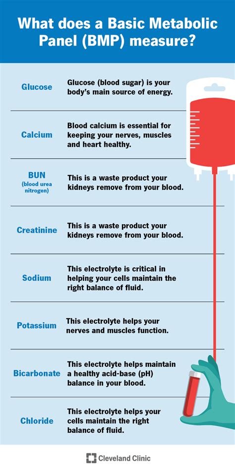 Basic Metabolic Panel Blood Test