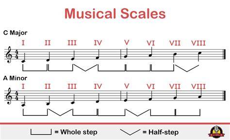 Basic Music Scale Chart